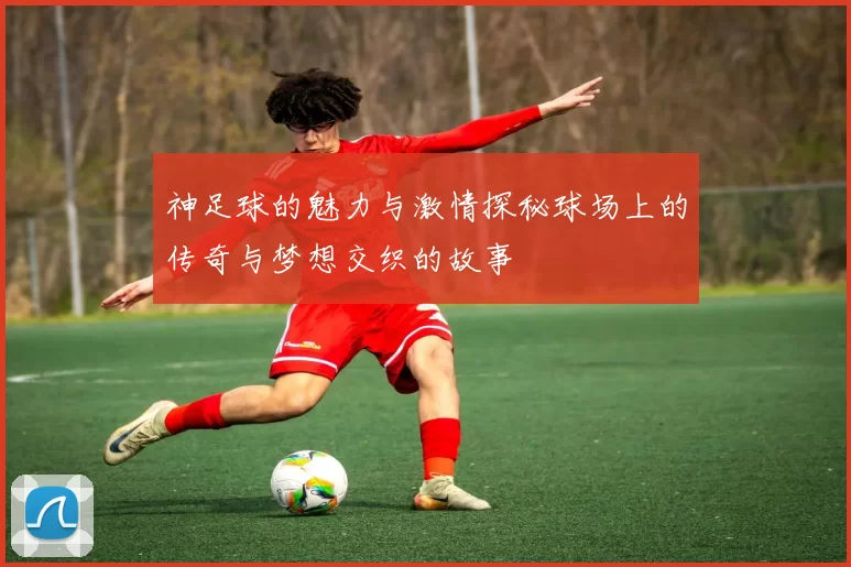 神足球的魅力与激情探秘球场上的传奇与梦想交织的故事